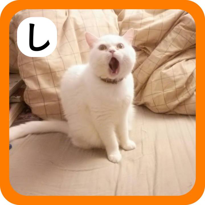 7646a7e5 4ea7 41cb 8223 21e80c4d9067 1514856499922