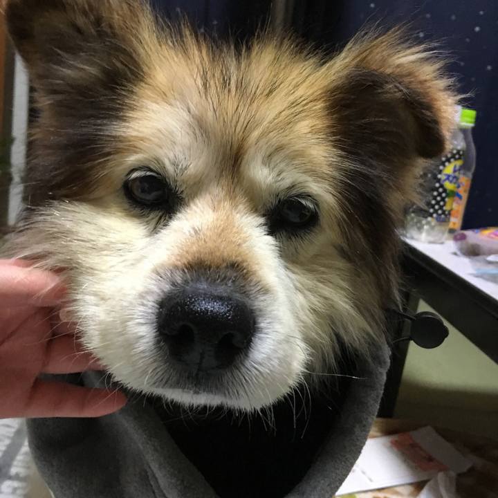 7646a98d 81b4 48cb 9205 c234503db663 1576651501727