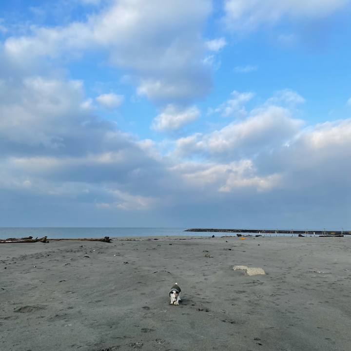 7646b618 03e0 4ce3 a2a0 7c50a4d43ee8 1611359734515