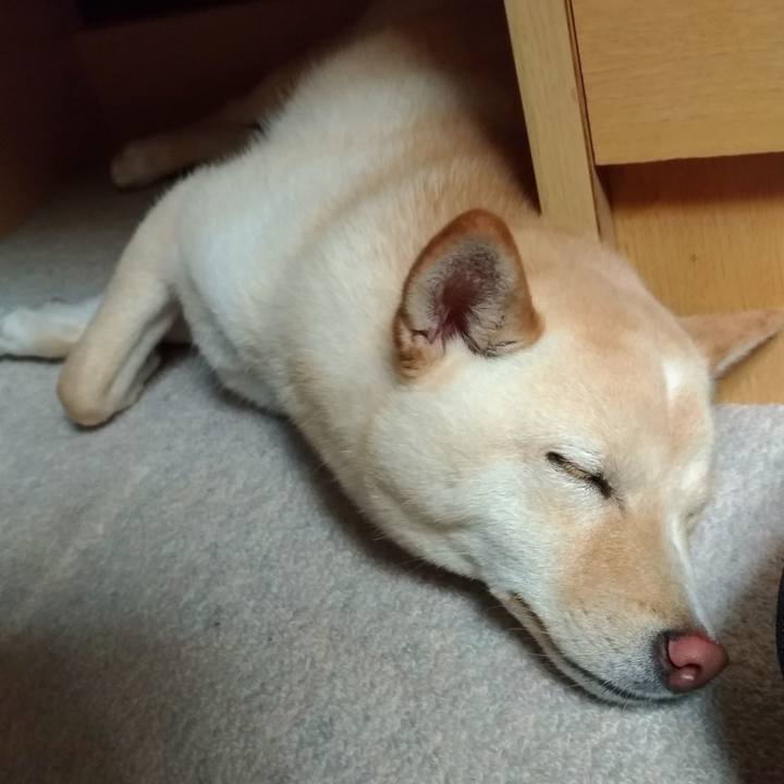 7646b9b4 887f 4bc5 808a a093d2be7519 1529495452146