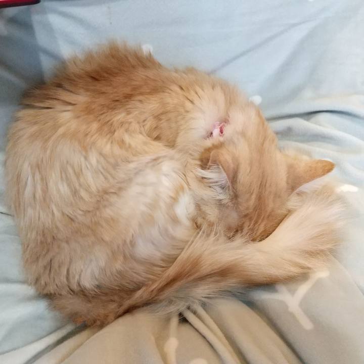 7646dd75 797b 4477 87ca 87c2c23e3b84 1640674720994