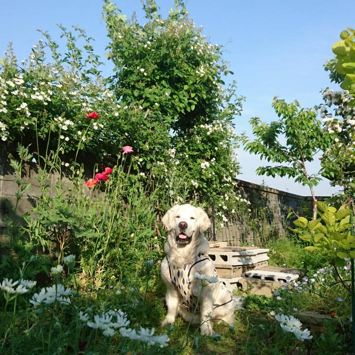 7646df47 d5cb 4df8 a0ea 3af4f67d97f8 1524903116744