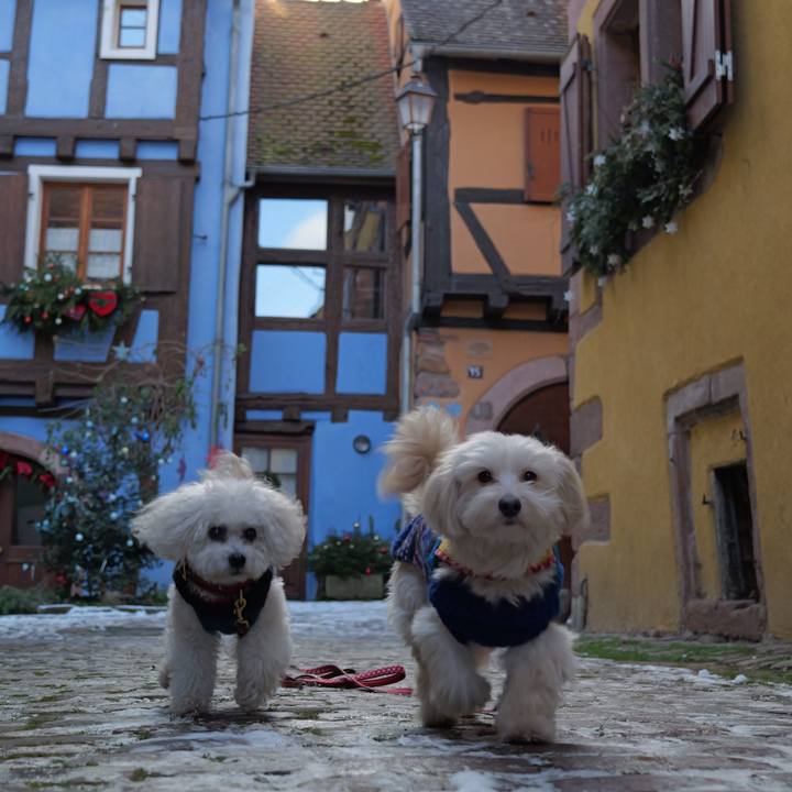 76470472 ca6d 426b 873b 633163f7fce8 1767389629831