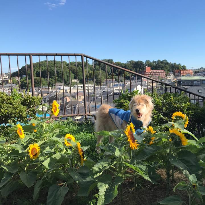 764707ee 2375 45ef bf0a 2cd5c20fa206 1630549487678