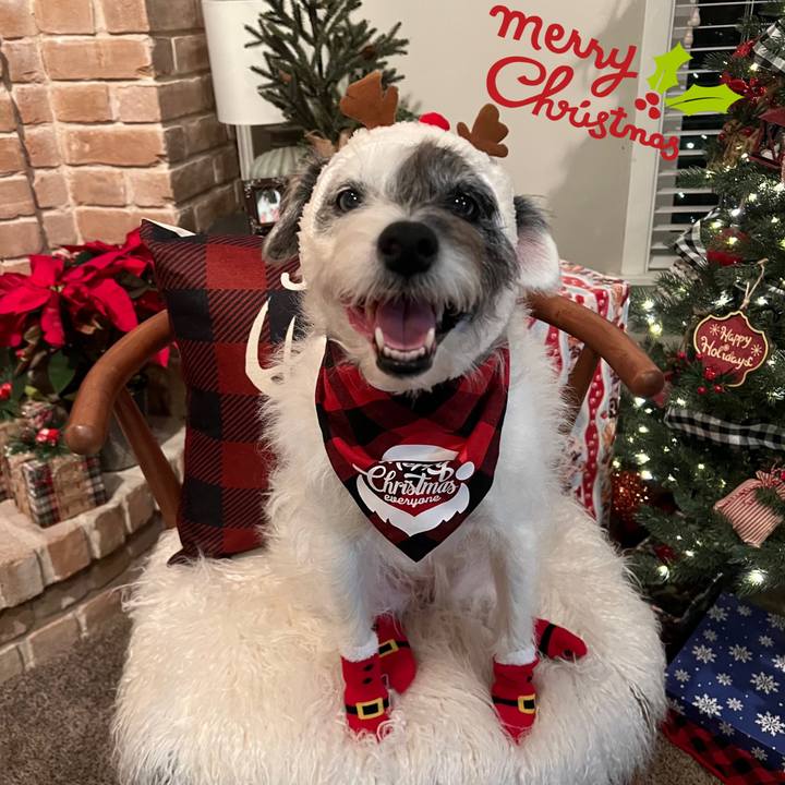 76471ba4 4b60 45b1 81a8 6df0a8786b27 1671834246972