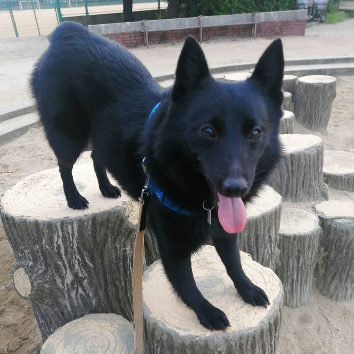 76474819 2b1e 4a3a b52f f36e74173764 1629927775498