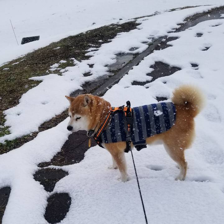 764776d3 a063 4429 81a4 da81b3e813c2 1640408385020