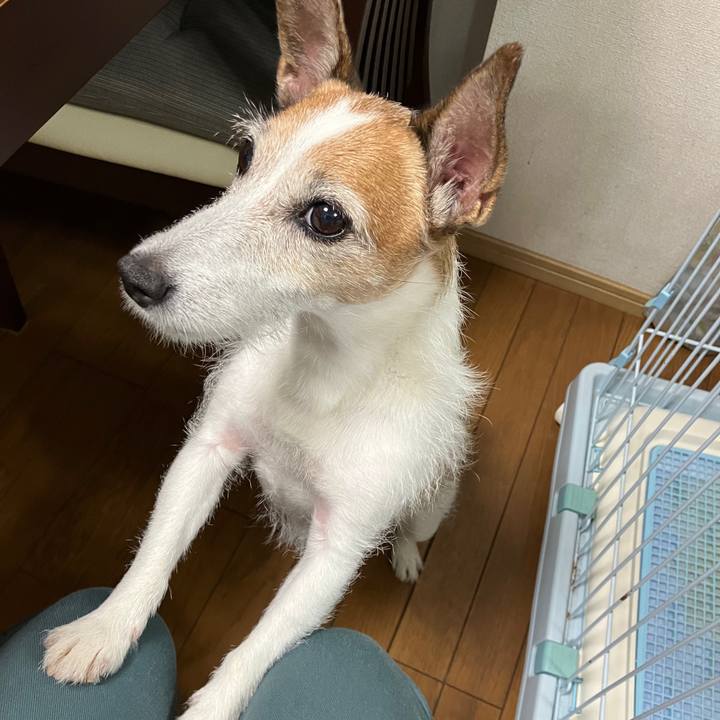 76477a77 9d97 4c99 90c7 a44cb55bc513 1689383653751