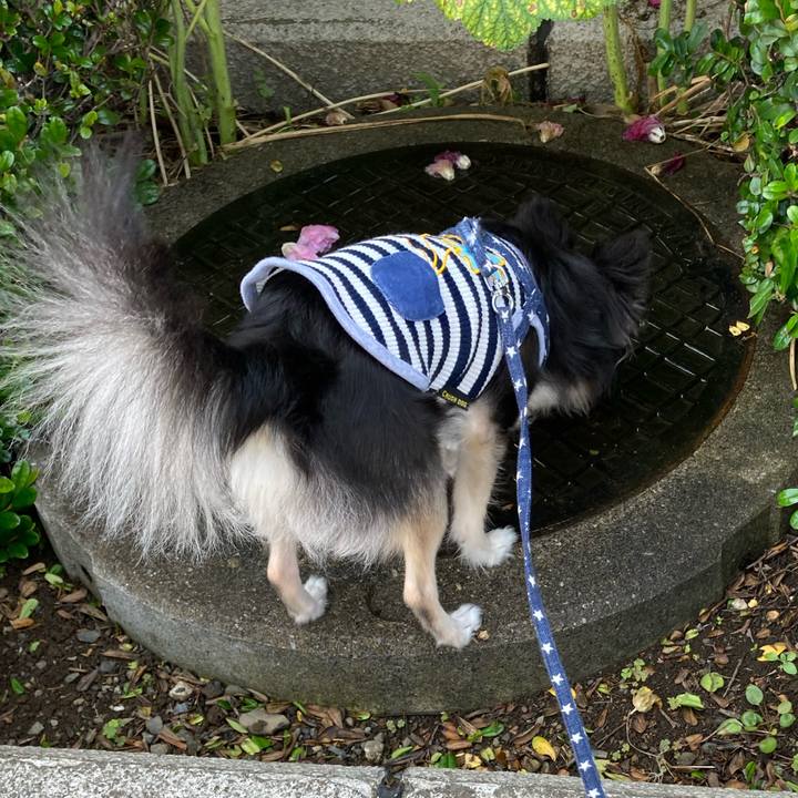 76481fe1 460c 4ce1 a6f9 08c4590865ea 1655610240704