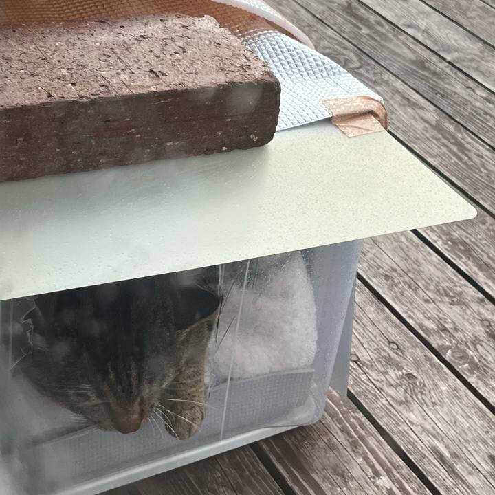 76482a4c b9bf 4245 a7ac cabec31b1393 1746219923132