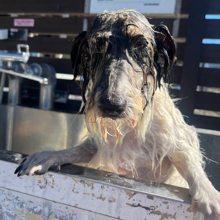 76483062 5edd 439e b109 d3a8a72f77f2 1762148236325