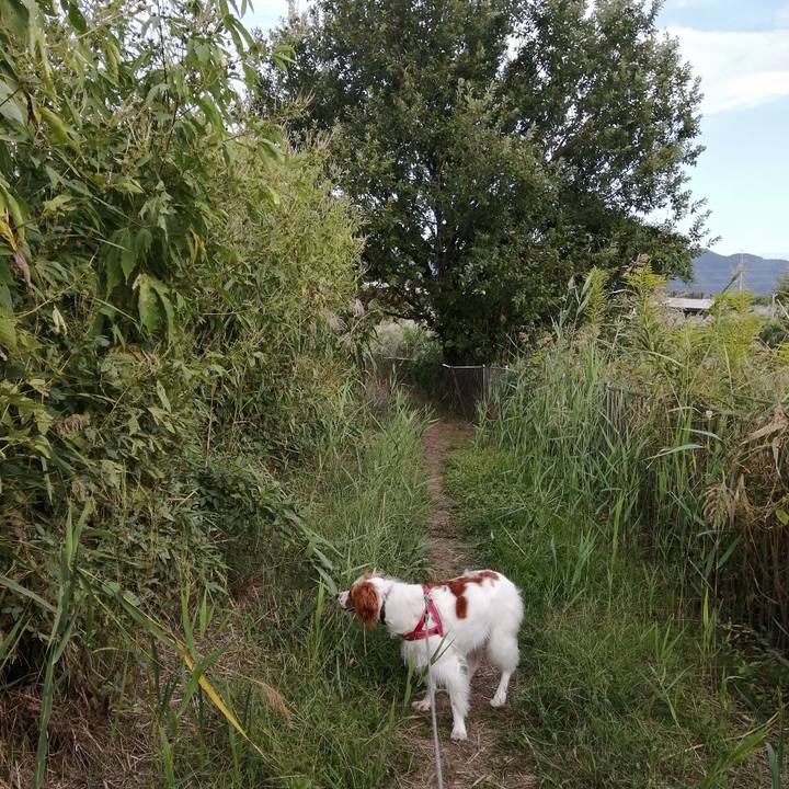 76484405 84d8 4f3f 85a5 eba78486a755 1570351911225