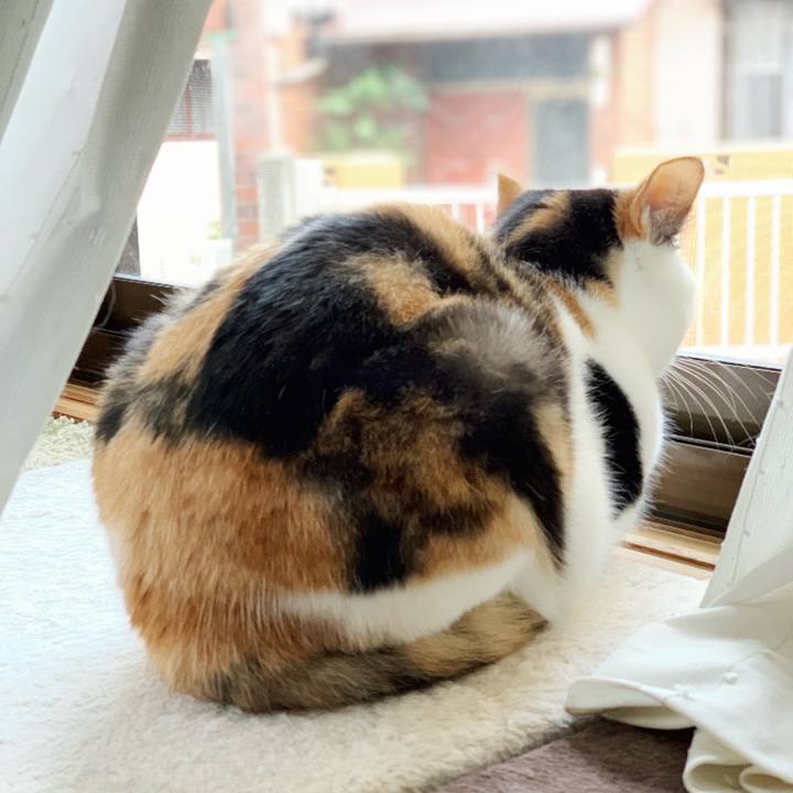 76484a3a d7ab 4150 9d3d 03953c00f1ef 1544408173535