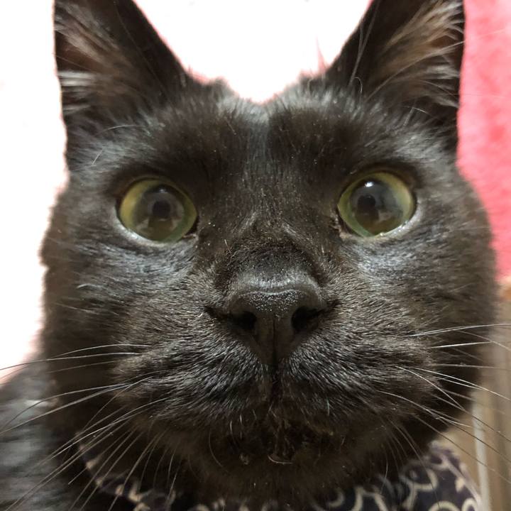 764862b3 3bee 499f a064 031a5da7c32e 1580484910131