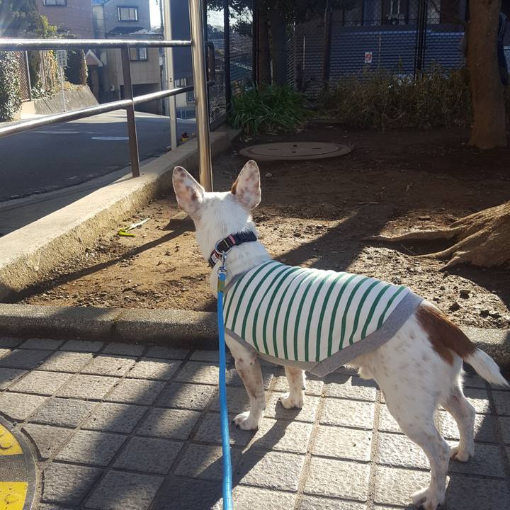 764880c1 ca6b 4329 ac1c d0ee0aba1a7d 1548981353763