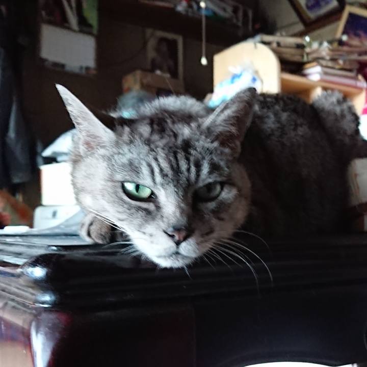 7648f2c6 4221 457e 85a0 bc27f188ef35 1564654119758