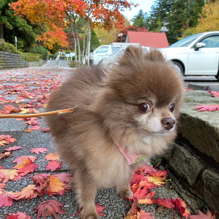 7648fad4 34fd 40ce 9bfe 178af463fea7 1698299536267