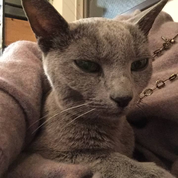 76492347 b73a 4021 bb86 5919508040b2 1575847966231