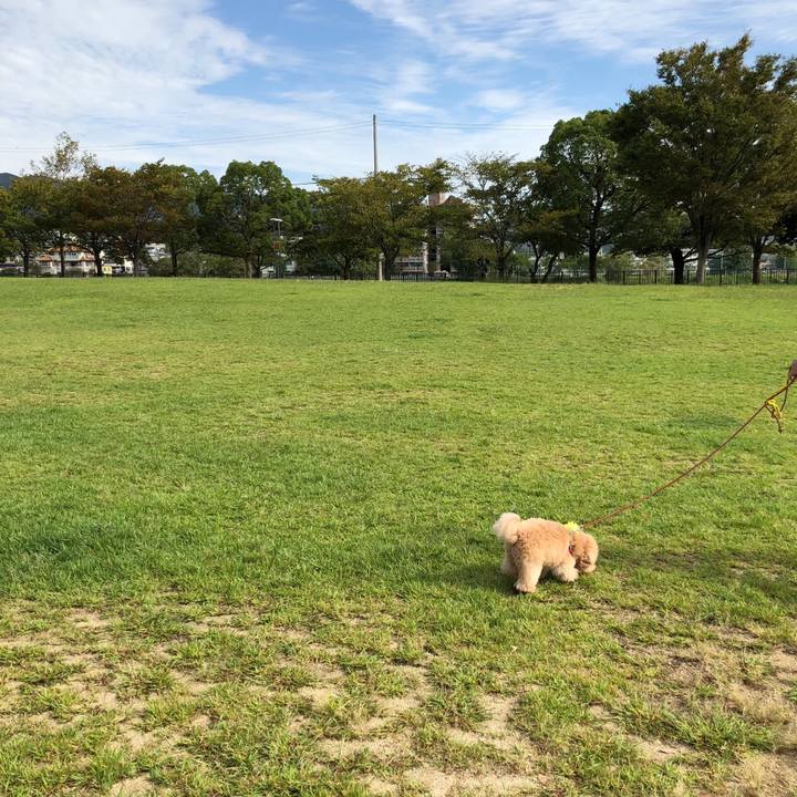 76492def 2bf3 45b1 bf5f 1126d5265120 1537668095648