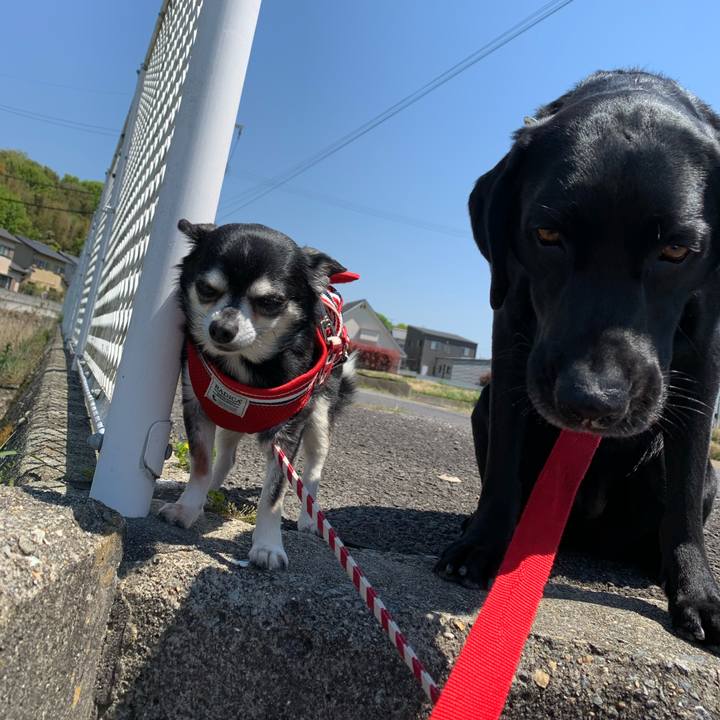 76492ff8 fa28 41e7 a4b8 4d34ee0ed7ef 1587895987290