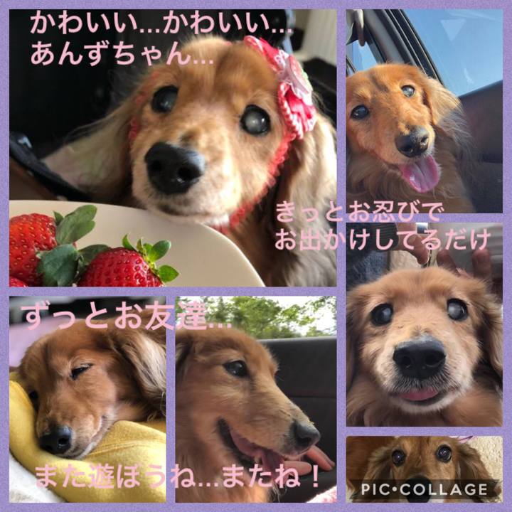 76497731 e565 4f69 b00d b9a4bbb4a6d6 1577106580067