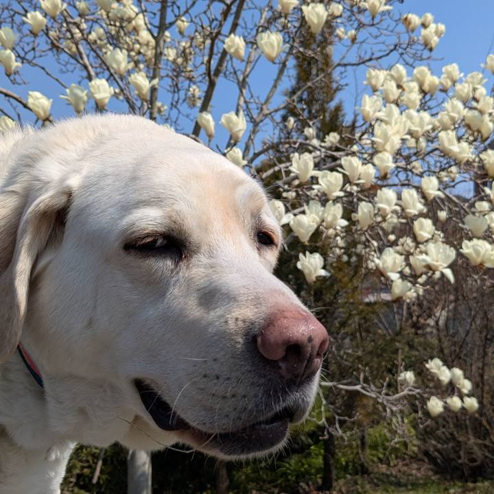 764983e3 89f0 46a3 b847 3a2e4260245f 1773890653390