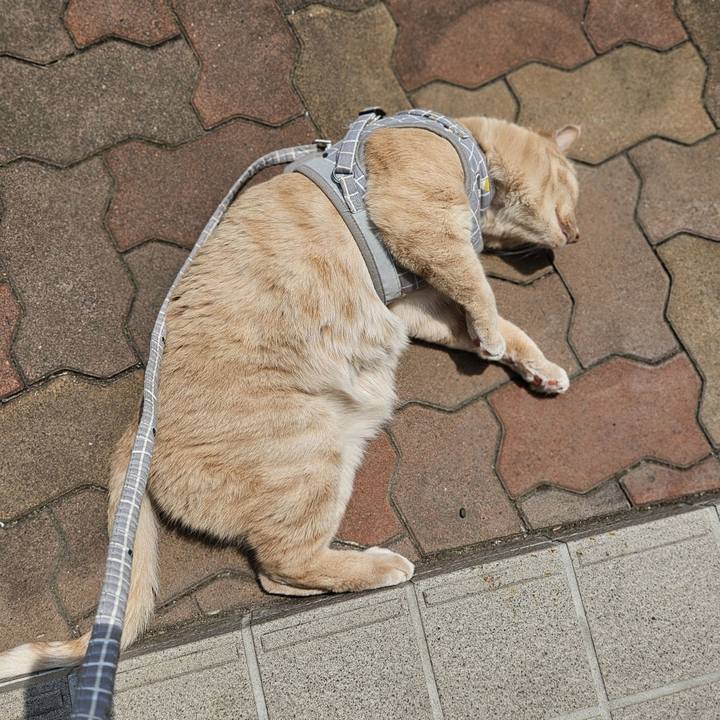 76499e31 fe84 4229 9eb9 9206766ef4d2 1719032447276