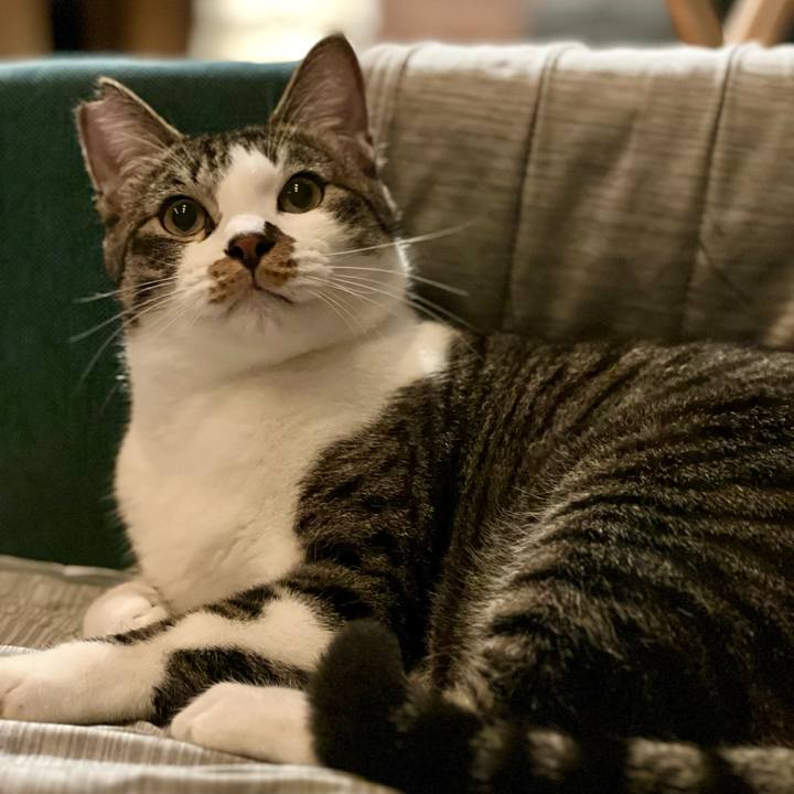 7649abee 9033 4022 a841 50f2b64e946a 1760869177207