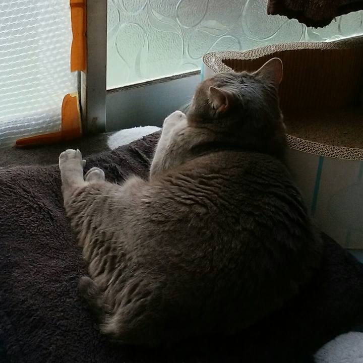 7649bab5 9f8b 48e4 9bfd 230ea5edf87a 1593415645331