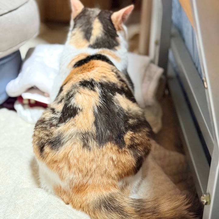 7649d9f0 5585 4742 a2df ca0ac245b1e4 1751256373860