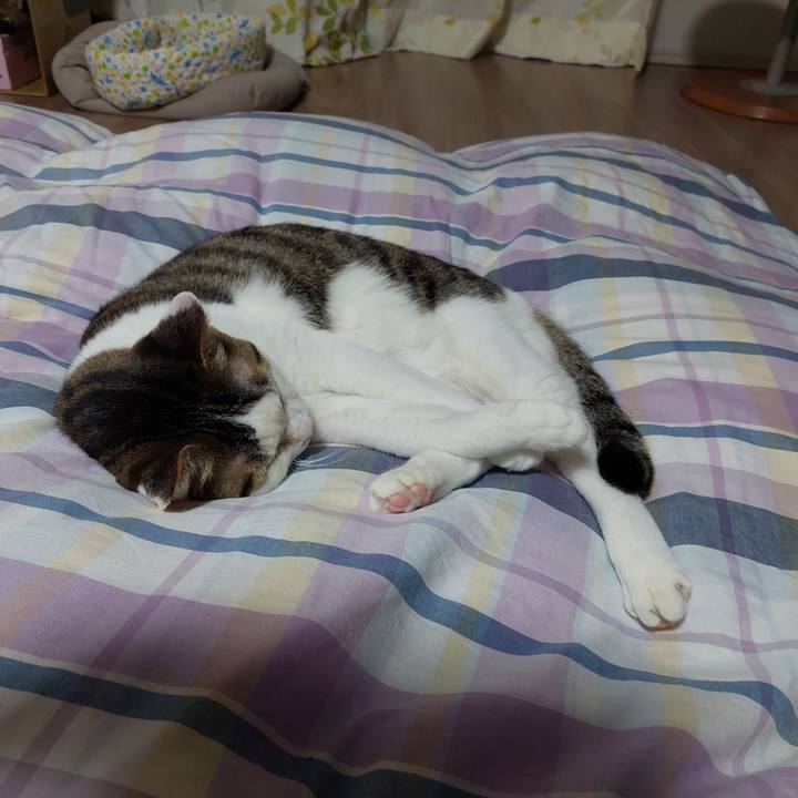 7649f2c7 5366 44ad bb2b c5105f117391 1650111602290