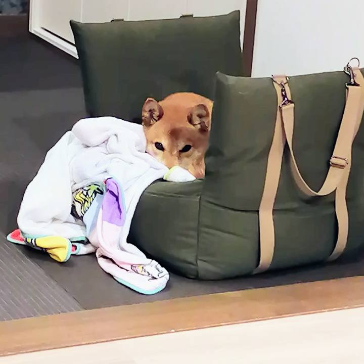 764a28ac 761d 4831 910b 2d7d36e7268d 1621676110410