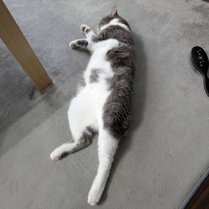 764a3c21 4549 4fa4 8f21 d01db46eeec8 1748912331143