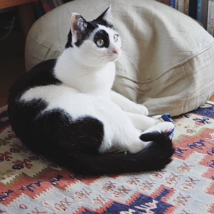 764a418d 16b6 47be 9cac 543124cab8bb 1521096113749