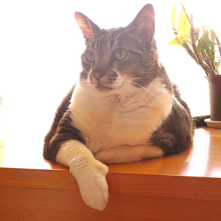 764a817b 5bc4 4fcd 9a7f 06e72e579630 1646953135378