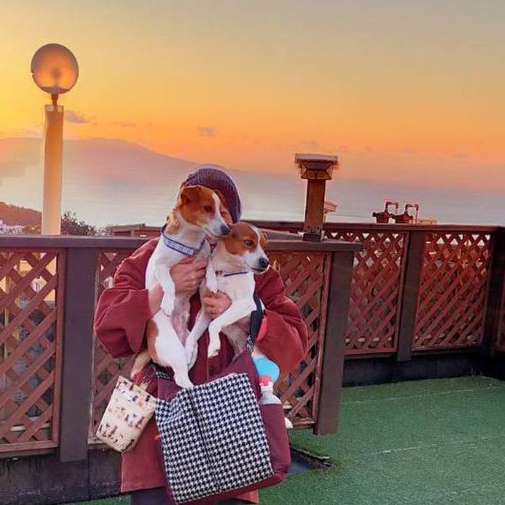 764a949f f546 4dd9 8368 f0323589bde6 1769252392696