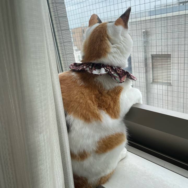 764a9537 6c41 4b68 92f9 7c6b2041518c 1751585788232