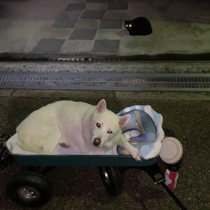 764aa872 25a6 4008 8a6b a10c71ca6002 1570111035560