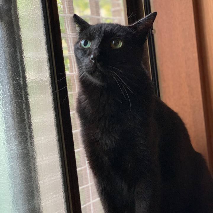 764aba87 df07 48e2 90b3 5942fbba523d 1600046099687