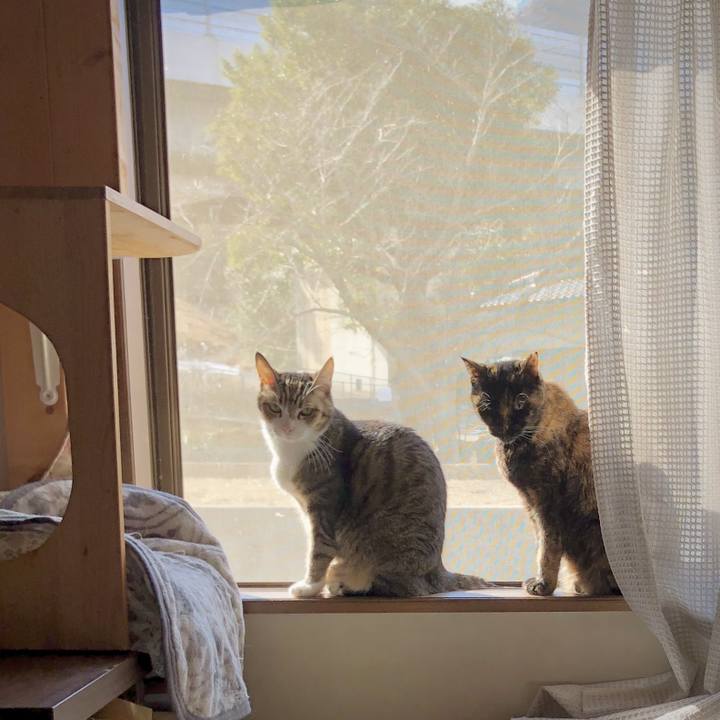 764aeb66 7c62 4118 be0d d45fd04aa996 1742695352987