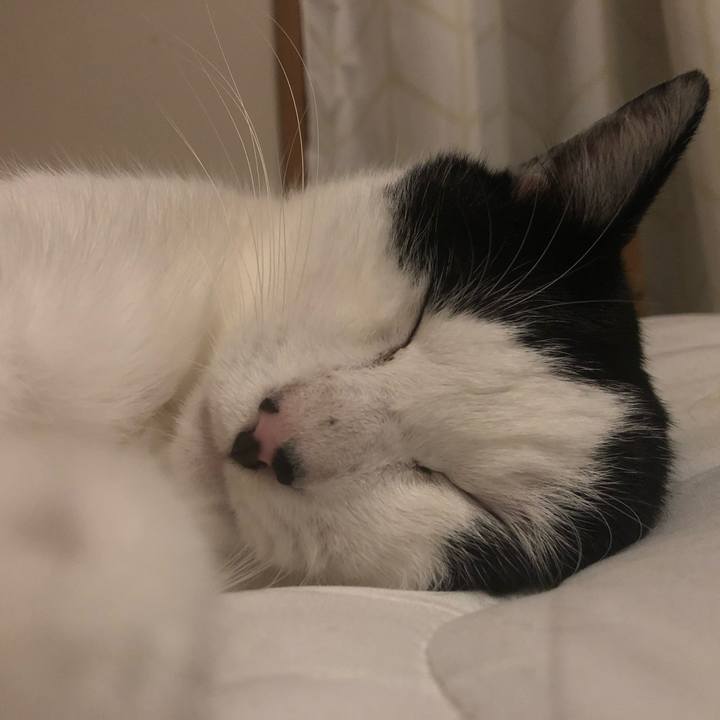 764aecd5 24ac 4670 96f5 f802af84bbf9 1572009734626