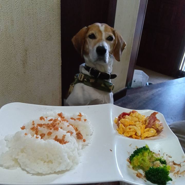 764b1285 1769 4187 bb6b 216dd63db3e8 1733888469994