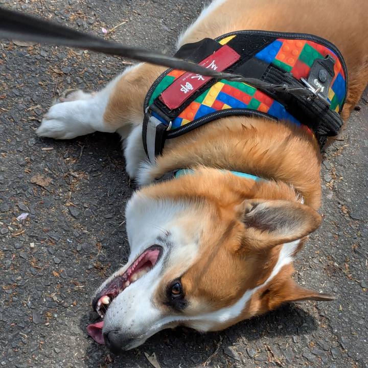 764b17ad e5dc 4192 b730 444b3c701ac6 1774874725200