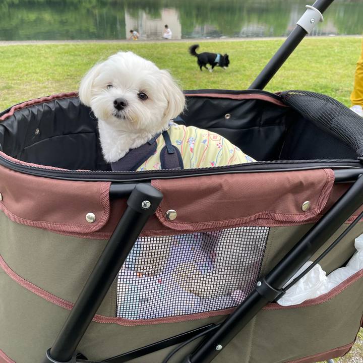 764baa1d 07a6 4367 96c3 8ca841525fe7 1655471683458