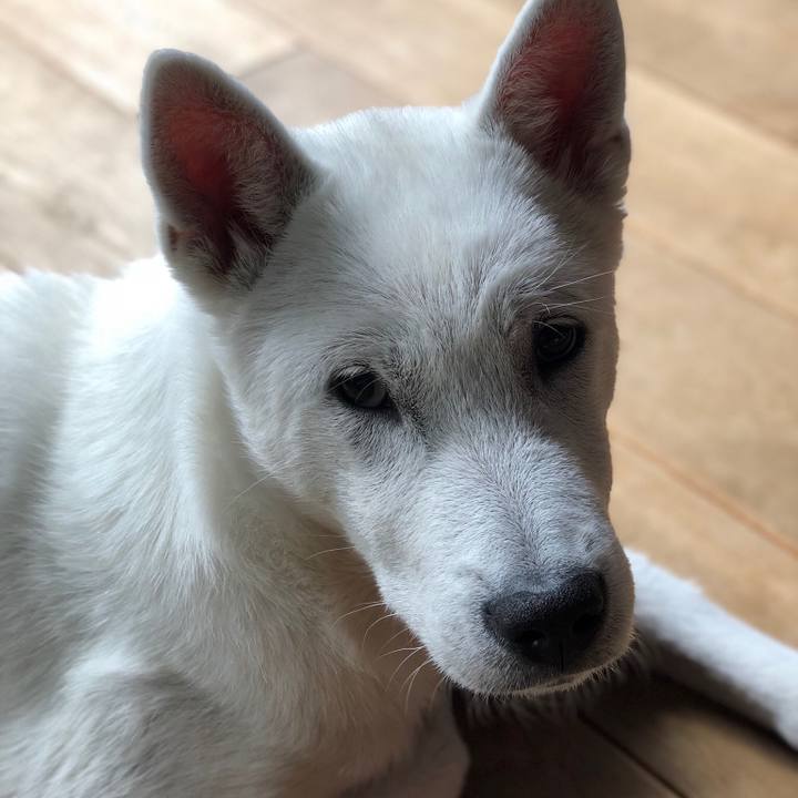 764be432 7a92 48ea 81ed 3b9d8d59dd69 1518522119200