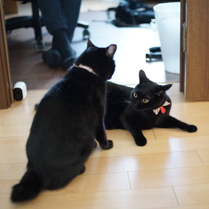 764bec96 a435 45a5 a3ed 212d9fe9231b 1533438147004