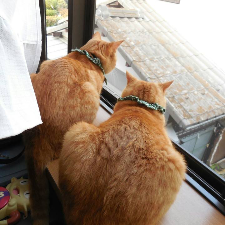 764c061b 4908 4103 ab16 dfd8978d54e7 1523311670297