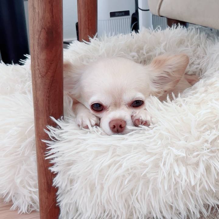 764c128e dc2f 47c6 acf6 99b74adbd24f 1760318346596