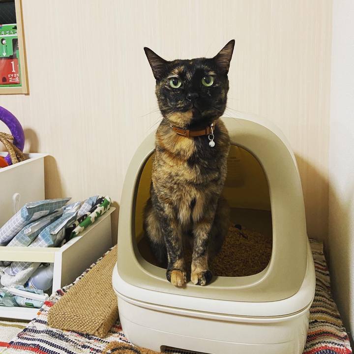 764c6215 a7f3 449f 9f25 f26699bf3517 1598443740259