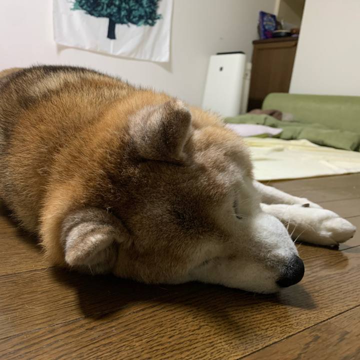 764c7c57 c9a9 4bc3 bd62 da5a196b2409 1669736337742